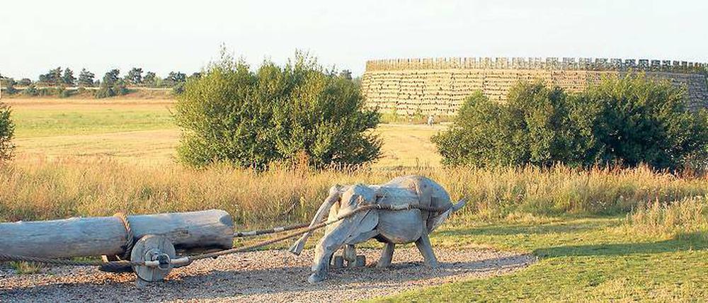 Historischer Ort. Die Slawenburg Raddusch wurde dort errichtet, wo Ausgrabungen auf eine vor 1200 Jahren errichtete Burg schließen lassen.