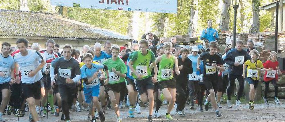 Großer Andrang. Der Potsdamer Herbstlauf hatte mit insgesamt 350 Teilnehmern mehr Läufer als in den Jahren zuvor an den Templiner See gelockt.