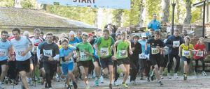 Großer Andrang. Der Potsdamer Herbstlauf hatte mit insgesamt 350 Teilnehmern mehr Läufer als in den Jahren zuvor an den Templiner See gelockt.