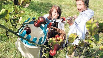 Gute Ernte. Luise und Peter vom Jugendhaus „Oase“ und die Bio-Äpfel.