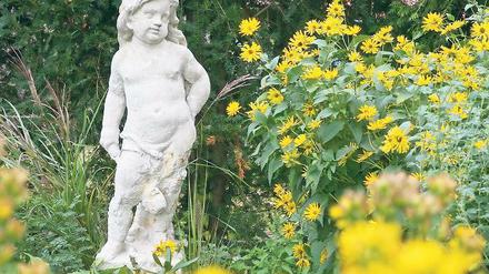 Auferstanden. Der 110 Zentimeter große Amor kann nach aufwändiger Restaurierung seit gestern wieder im Bornimer Karl-Foerster-Garten bewundert werden.