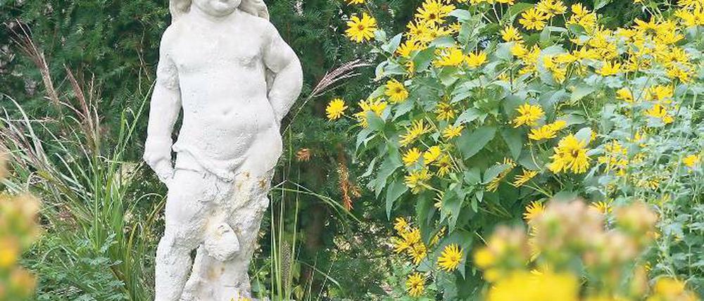 Auferstanden. Der 110 Zentimeter große Amor kann nach aufwändiger Restaurierung seit gestern wieder im Bornimer Karl-Foerster-Garten bewundert werden.