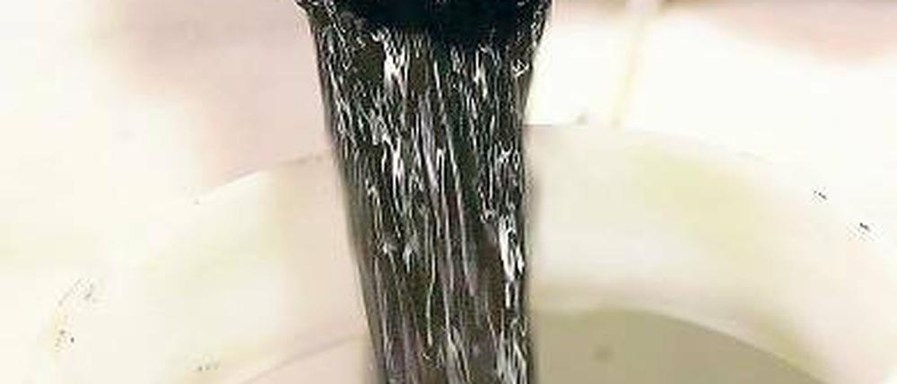 Hoffnungsträger. Biokohle.