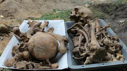 Die Gebeine von 60, namenlos verscharrten Wehrmachtssoldaten sind in Potsdam auf dem Geelände der einstigen "Adolf Hitler"-Kaserne gefunden worden.