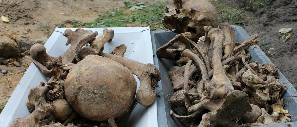 Die Gebeine von 60, namenlos verscharrten Wehrmachtssoldaten sind in Potsdam auf dem Geelände der einstigen "Adolf Hitler"-Kaserne gefunden worden.