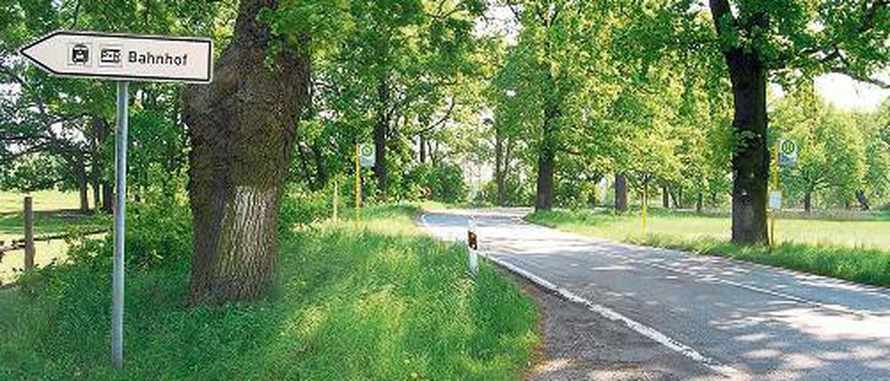 Gefährlich: Zum Bahnhof Saarmund führt nur eine kurvenreiche Straße.