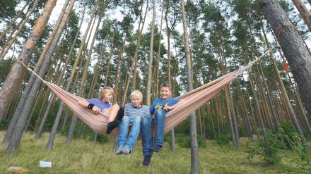 Schaukeln im Wald. Die Waldhort-Kinder Niklas, Paul und Jarek.