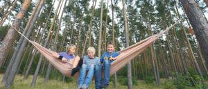 Schaukeln im Wald. Die Waldhort-Kinder Niklas, Paul und Jarek.