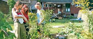 Umkämpftes Idyll. Die Wagenhausburg soll Wohnungen weichen.