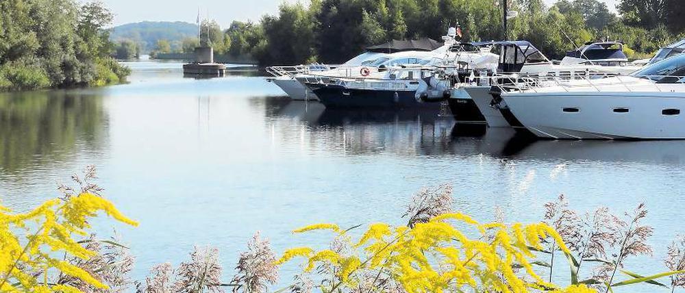 Drohendes Nadelöhr. Blick von der Marina in den Stichhafen mit Widerlager.