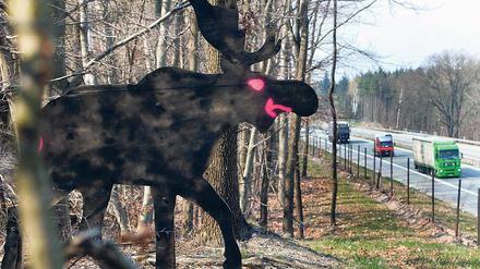 Warn–Elch. An der A 12 erinnert bei Fürstenwalde ein Holz-Elch daran, dass die Tiere nicht nur in Skandinavien leben.
