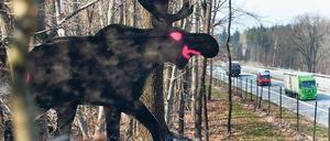 Warn–Elch. An der A 12 erinnert bei Fürstenwalde ein Holz-Elch daran, dass die Tiere nicht nur in Skandinavien leben.