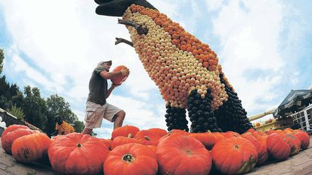 Bunte Urzeit. Aus 28 000 Kürbissen wurden in Klaistow zehn große Dinos gestaltet.