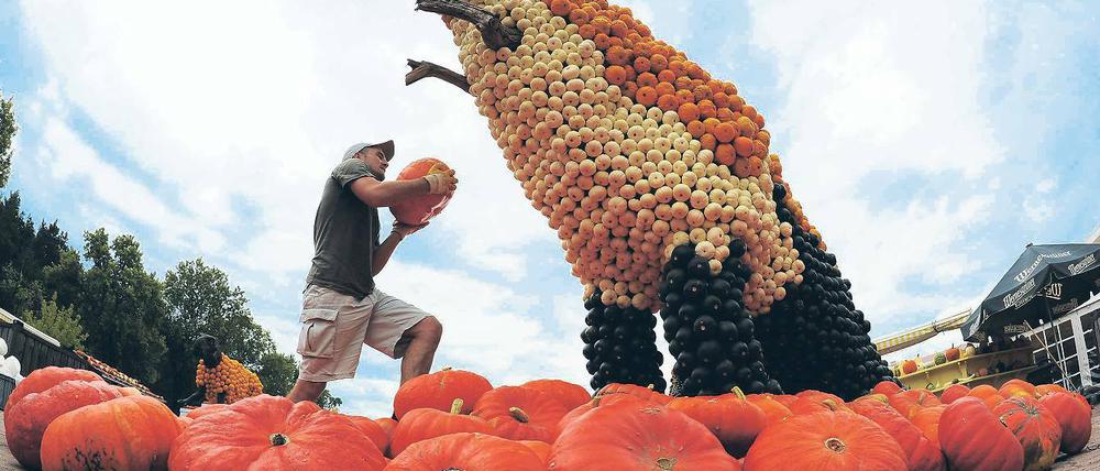 Bunte Urzeit. Aus 28 000 Kürbissen wurden in Klaistow zehn große Dinos gestaltet.