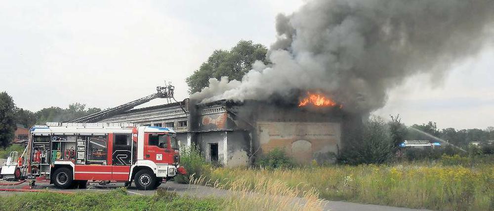 Einsatz in Potsdams Norden: Die Feuerwehr im Kampf gegen die Flammen.