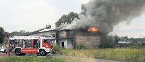 Einsatz in Potsdams Norden: Die Feuerwehr im Kampf gegen die Flammen.
