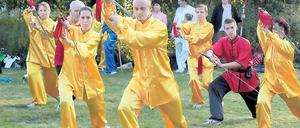 Choreografie mit Schwertern: Mitglieder des Potsdamer Zentrums für Chinesische Heil- und Kampfkünste demonstrierten bei Fest „Feuer und Wasser“ auf der Freundschaftsinsel ihr Können bei Kung-Fu- und Taiji-Vorführungen.