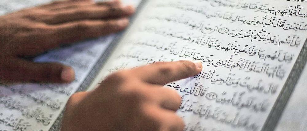 Verschiedene Deutungen. Während der Soziologe Wahied Wahdat-Hagh der Religionsschule in Qom militanten Messianismus unterstellt, attestieren die Potsdamer Religionswissenschaftler ihrem Kooperationspartner eine Offenheit für andere Denkweisen.