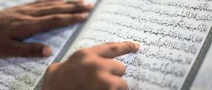 Verschiedene Deutungen. Während der Soziologe Wahied Wahdat-Hagh der Religionsschule in Qom militanten Messianismus unterstellt, attestieren die Potsdamer Religionswissenschaftler ihrem Kooperationspartner eine Offenheit für andere Denkweisen.