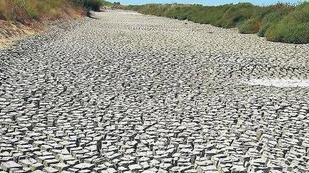 Extreme Folgen. Der Sommer 2003 ließ in Frankreich die Böden austrocknen.