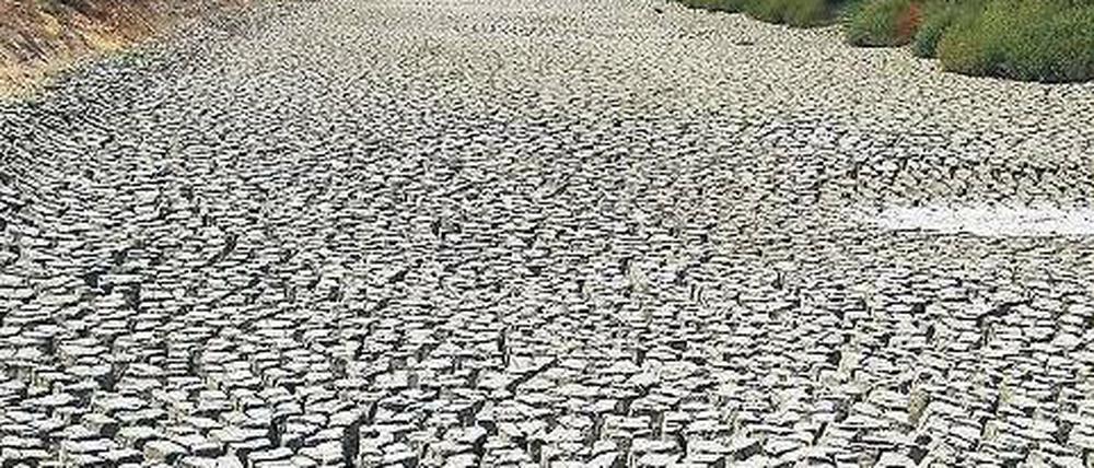 Extreme Folgen. Der Sommer 2003 ließ in Frankreich die Böden austrocknen.