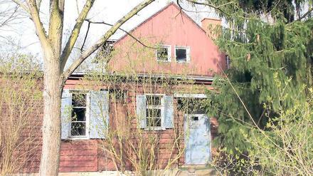 Groß genug? Das Holzhaus soll Museum und Veranstaltungsort werden.