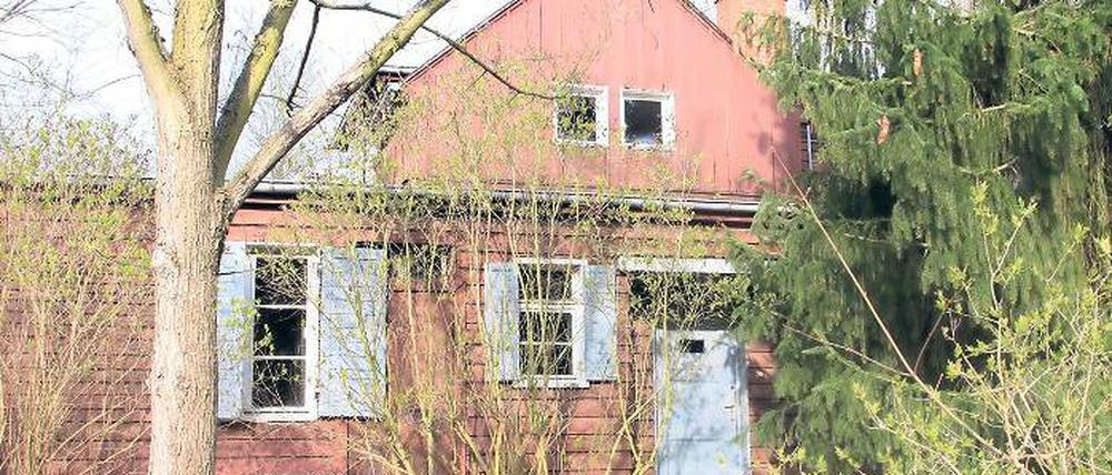 Groß genug? Das Holzhaus soll Museum und Veranstaltungsort werden.