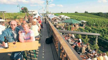 Zwischen Reben. Wein wird im Land Brandenburg bereits seit mehr als 800 Jahren angebaut. Ein beliebtes Ausflugsziel ist etwa der Wachtelberg in Werder (Potsdam-Mittelmark). In der Straußwirtschaft Weinttiene kann man nicht nur kosten, was am Ufer der Havel reift und abgefüllt wird, auch eine kleine Imbissauswahl wird geboten.