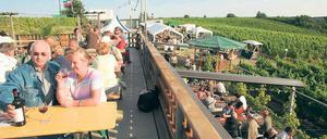 Zwischen Reben. Wein wird im Land Brandenburg bereits seit mehr als 800 Jahren angebaut. Ein beliebtes Ausflugsziel ist etwa der Wachtelberg in Werder (Potsdam-Mittelmark). In der Straußwirtschaft Weinttiene kann man nicht nur kosten, was am Ufer der Havel reift und abgefüllt wird, auch eine kleine Imbissauswahl wird geboten.