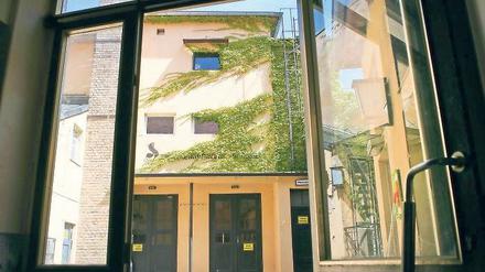 Verborgenes Idyll. Seit acht Jahren werden im „Melodie“ keine Filme mehr gezeigt. Zumindest der Innenhof soll bald wieder für Café- und Kneipenbetrieb genutzt werden. Dort sollen 20 Gäste Platz haben, im Vorderhaus können bis zu 30 Besucher bewirtet werden.