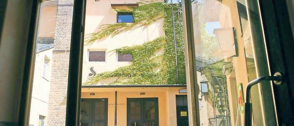 Verborgenes Idyll. Seit acht Jahren werden im „Melodie“ keine Filme mehr gezeigt. Zumindest der Innenhof soll bald wieder für Café- und Kneipenbetrieb genutzt werden. Dort sollen 20 Gäste Platz haben, im Vorderhaus können bis zu 30 Besucher bewirtet werden.