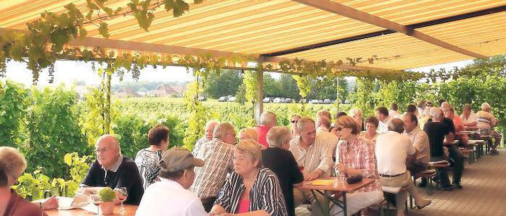 Gut besucht: Das Winzerfest auf Werders Wachtelberg.