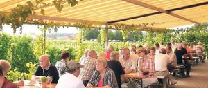 Gut besucht: Das Winzerfest auf Werders Wachtelberg.