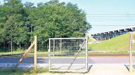 Noch ist Platz. Im Bornstedter Feld gibt es laut Pro Potsdam keine Alternative zu noch mehr Wohnungsbau.