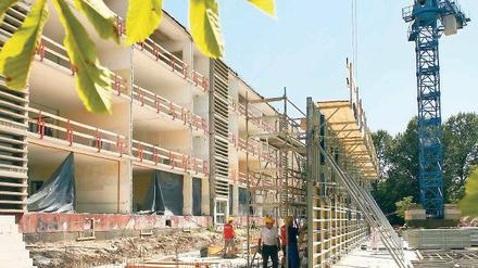 Baustelle. Die Haeckelschule wird modernisiert.