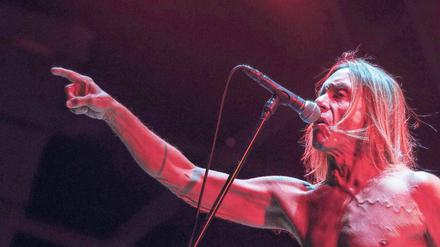 „Greenville Festival“. Rock-Legende Iggy Pop kommt auch nach Paaren-Glien.