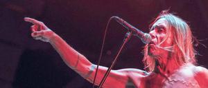 „Greenville Festival“. Rock-Legende Iggy Pop kommt auch nach Paaren-Glien.