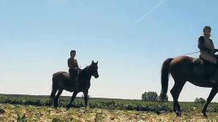 Glücklichmacher. Reiten im Land Brandenburg hebt die Laune – auch bei Liebeskummer, verspricht eine Berliner Agentur. Wer keinen Herzschmerz hat, kann zudem zwischen rund 140 Reiterhöfen landesweit wählen.