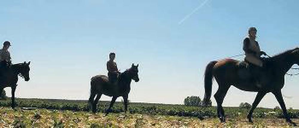 Glücklichmacher. Reiten im Land Brandenburg hebt die Laune – auch bei Liebeskummer, verspricht eine Berliner Agentur. Wer keinen Herzschmerz hat, kann zudem zwischen rund 140 Reiterhöfen landesweit wählen.