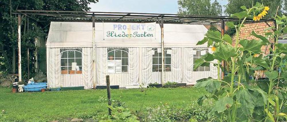 Aus der Traum? Der „Fliedergarten“ startete als ambitioniertes Sozialprojekt für Hartz-IV-Betroffene. Dem gleichnamigen Verein wurde nach schier endlosen Grabenkämpfen nun vom Kleingartenverband gekündigt. Hartz-IV-Betroffenen-Vereinschef Weber schlug zurück und veröffentlichte alle Streit-E-Mails.