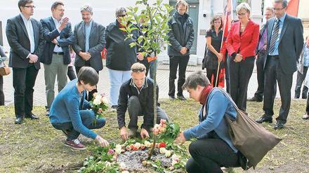 Wie angegossen. Potsdams Jusos pflanzten einen Apfelbaum.