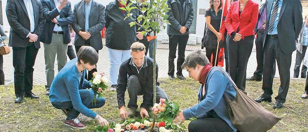 Wie angegossen. Potsdams Jusos pflanzten einen Apfelbaum.
