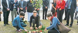 Wie angegossen. Potsdams Jusos pflanzten einen Apfelbaum.