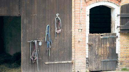 Schweigen nach dem Schock: Auf dem Reiterhof in Reckahn war gestern niemand zu sprechen.