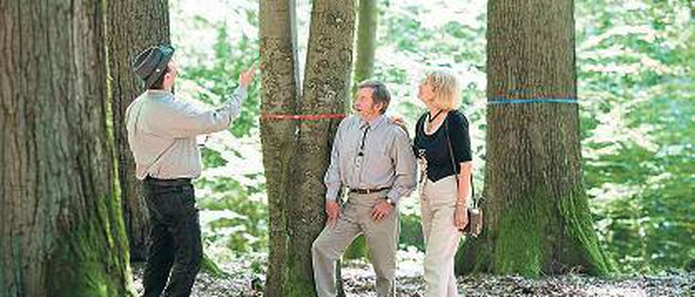Alternative Friedwald: Förster beraten auch bei der Auswahl der Bäume.