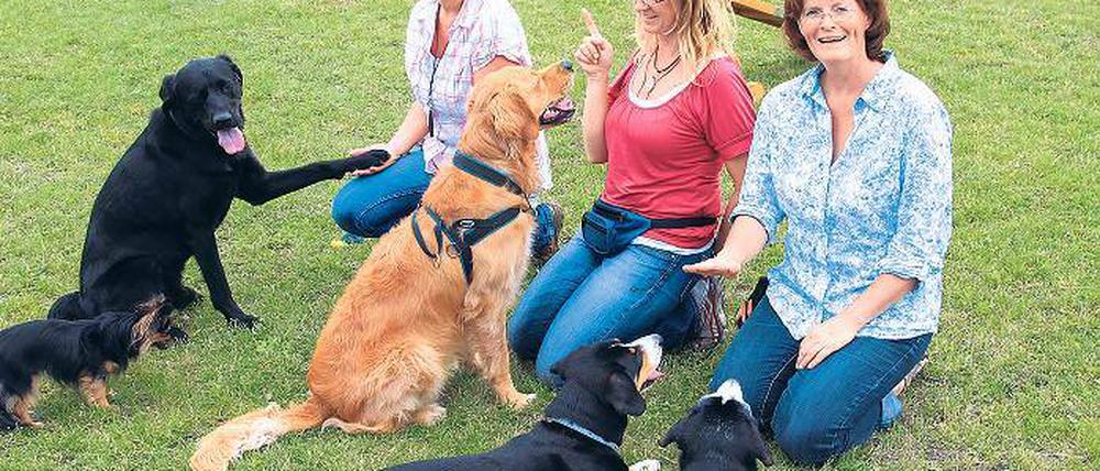 Auf den Hund gekommen. Die Hundetrainerinnen Christin Appel, Eileen Krüger, Astrid Weiß (v.l.).