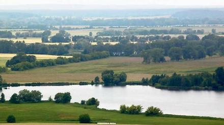 Kein Großschutzgebiet, aber dennoch wertvoll: Die Mittlere Havel, hier am Fuße des Götzer Bergs, besticht durch ihr verzweigtes Gewässernetz.
