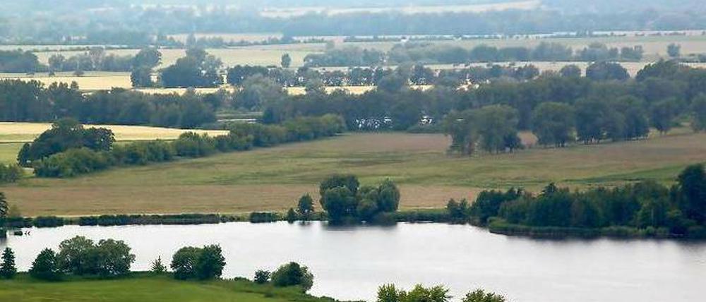 Kein Großschutzgebiet, aber dennoch wertvoll: Die Mittlere Havel, hier am Fuße des Götzer Bergs, besticht durch ihr verzweigtes Gewässernetz.