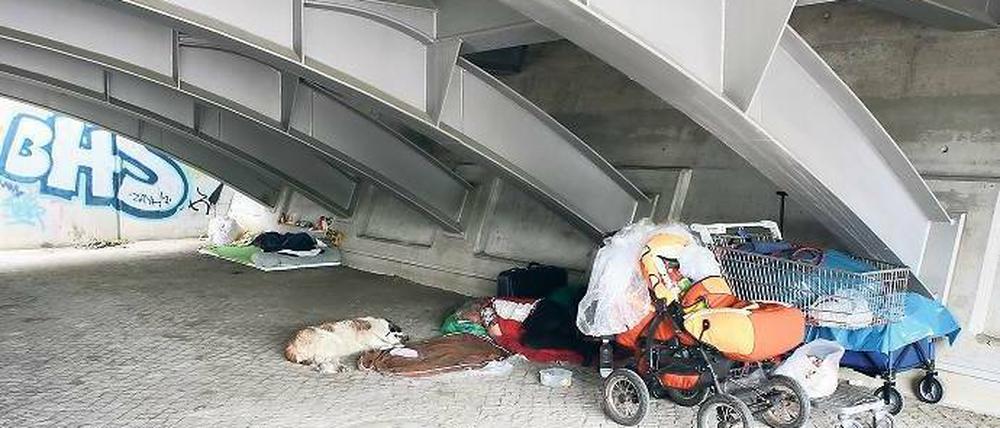 Obdachlosigkeit im Stadtbild. Zwei Wohnungslose haben derzeit ihr Lager unter der Trambrücke neben der Langen Brücke aufgeschlagen.