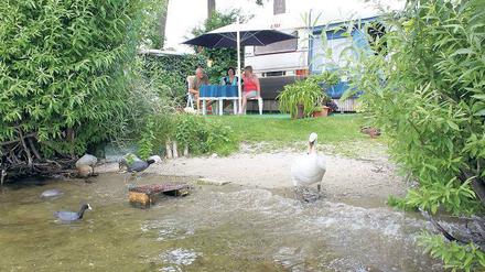 Gefiederte Nachbarn: Bei Eva Müller kommen Haubentaucher, Enten und Schwäne bis vor die Haustür. Wegen der Idylle sucht die Potsdamerin seit 1964 jeden Sommer Erholung auf die Riegelspitze.